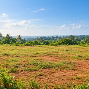 terrain-bingerville-vue-principale
