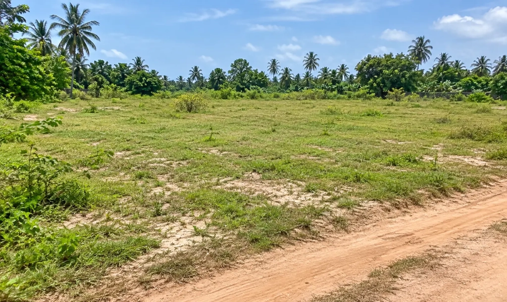 Terrain de 600 m² à Bassam