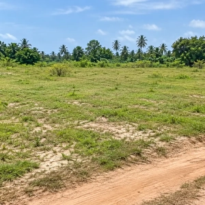Terrain de 600 m² à Bassam