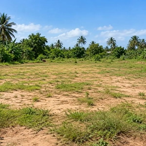 Terrain de 600 m² à Bassam Monney Ville