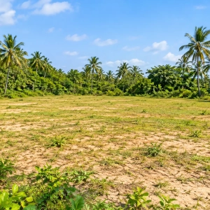 vente Terrain de 600 m² à Assouindé la Baie