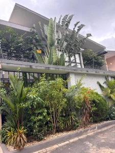 Jardin planté de palmiers et de verdure devant la villa à louer à Bingerville